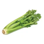 Celery