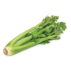 Celery